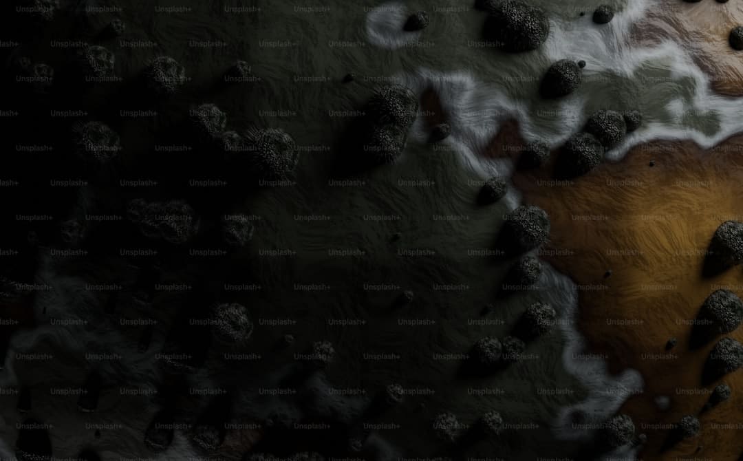 王晶爆料赵露思与经纪公司闹翻真相